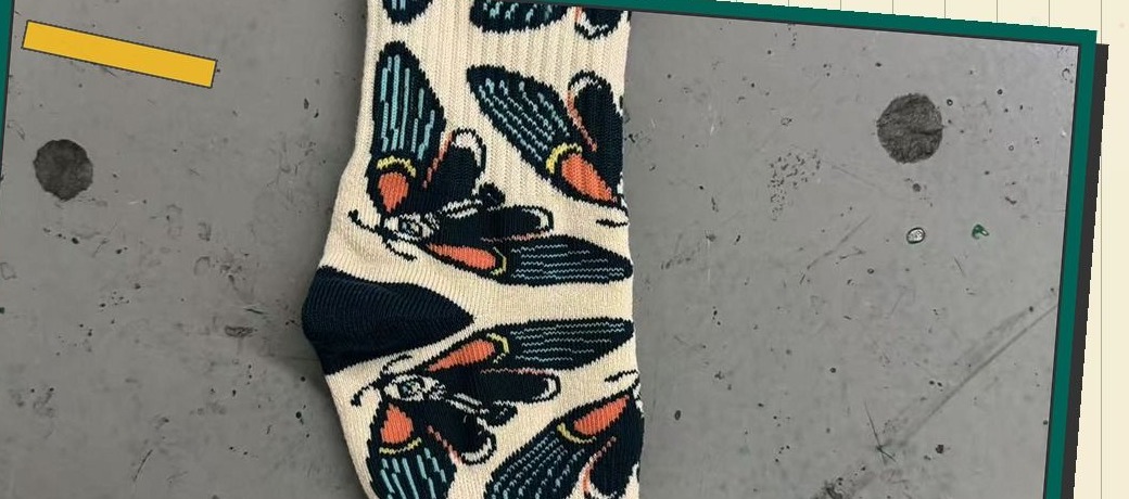 Moth Pattern Socks, view 1