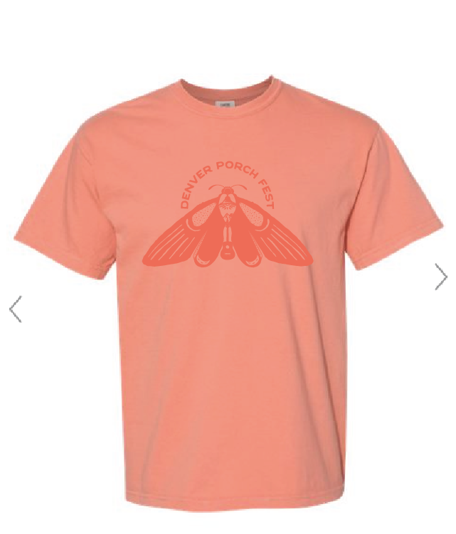 Shirt One Color Front Logo Terracotta, view 1